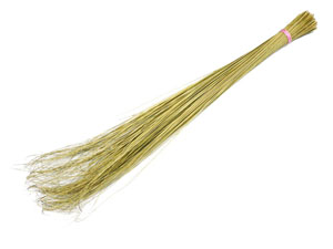 lidi broom