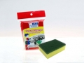 scourer-sponge-copy